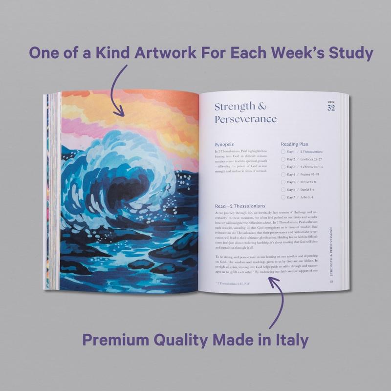 A Beautiful Year in the Bible – 52-Week Bible Study for Women (Softcover)